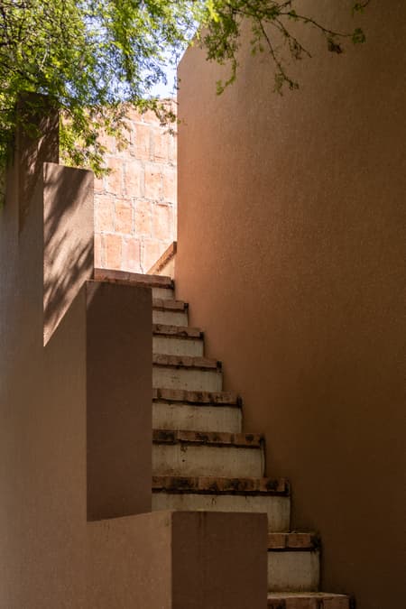 House around the Tree